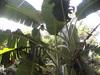 Dvc00208