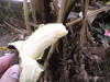 Dvc00209