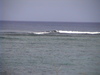 Dvc00227