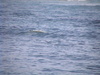 Dvc00238