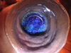 Dvc00245
