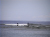Dvc00255