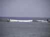 Dvc00256