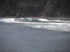 Dvc00284