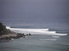 Dvc002931