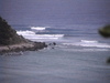 Dvc002971