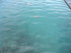 Dvc00302