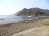 Dvc00314