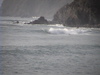 Dvc00318_1