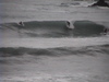 Dvc00352