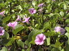 Dvc00354
