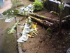 Dvc00355