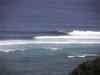 Dvc00402