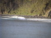 Dvc00443