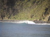 Dvc00445