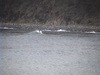 Dvc00606