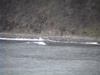 Dvc00608